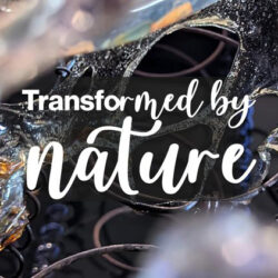 Transformed by Nature